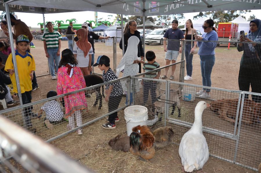 Melton Eid Festival 2025 — photo 2