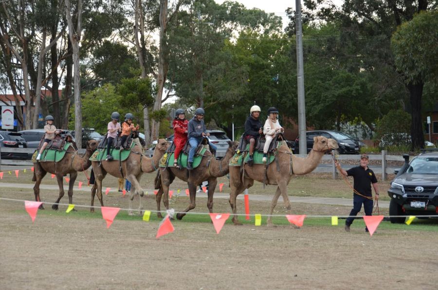 Melton Eid Festival 2025 — photo 20