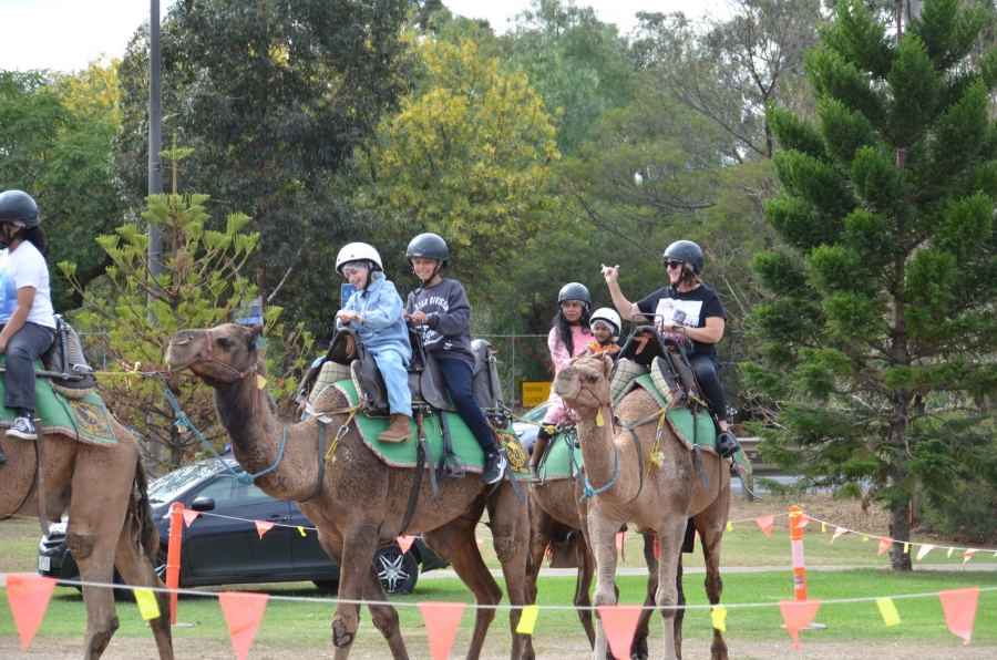 Melton Eid Festival 2025 — photo 16