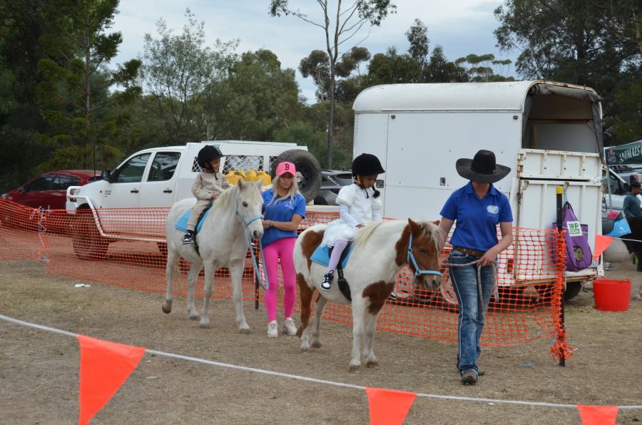 Melton Eid Festival 2025 — photo 52