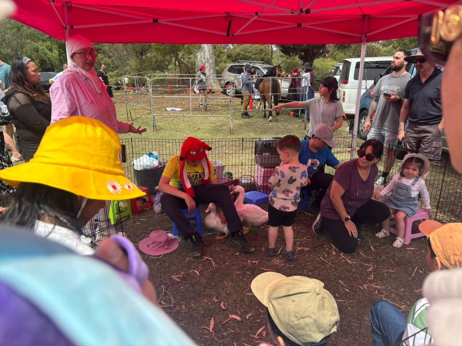 Victoria Spring Festival 2024 — photo 21