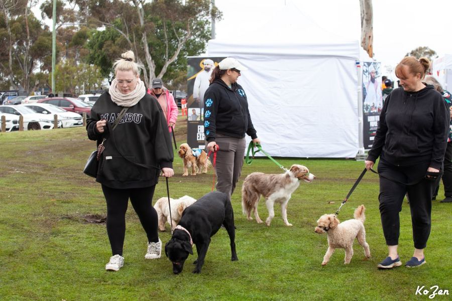 Victoria Spring Festival 2025 — photo 32